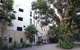 Central Palm
