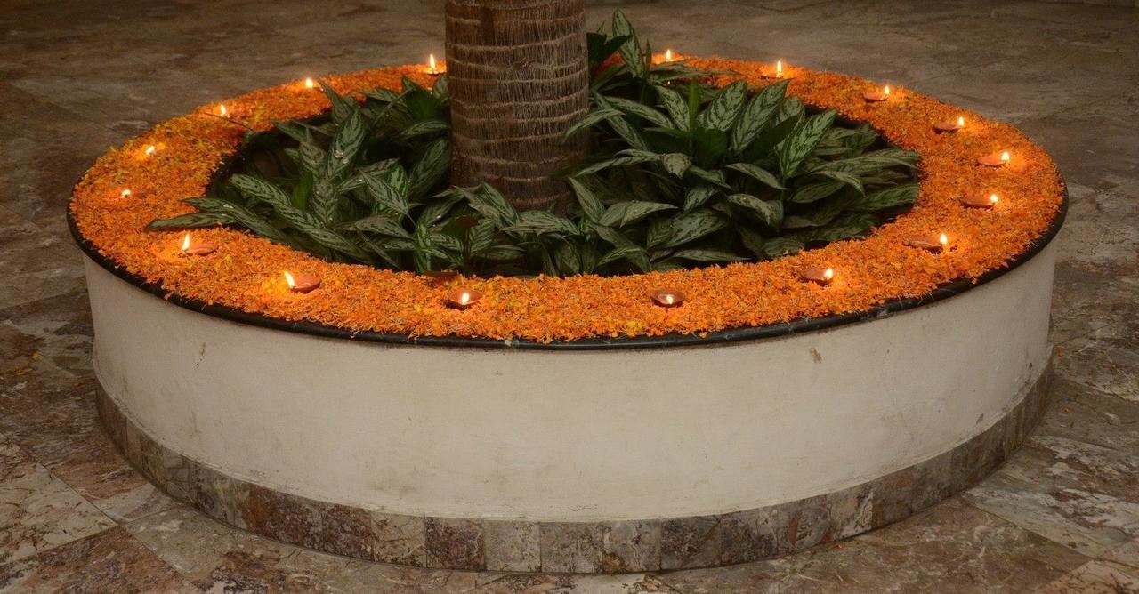 Central Palm Hotel Bharatpur  Exterior photo